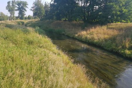 Komunikat w sprawie zanieczyszczenia Rzeki Mlecznej w Bieruniu