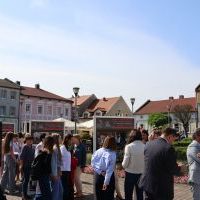 Otwarcie wystawy festiwalowej na rynku (1)