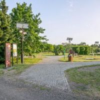 Mini Arboretum (1)