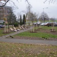 Mini Park na Węglowej (1)