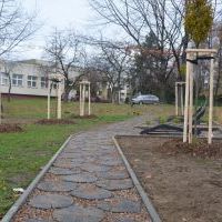 Mini Park na Węglowej (1)