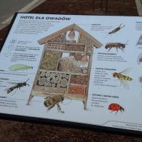 Domki dla owadów - inspiracje z Pszczyny  (6)