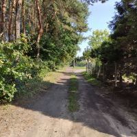 Ulice Domy Polne i Szynowa przed remontem (6)