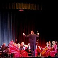 Koncert Niepodległościowy Bojszowskiej Orkiestry PONTICELLO (9)